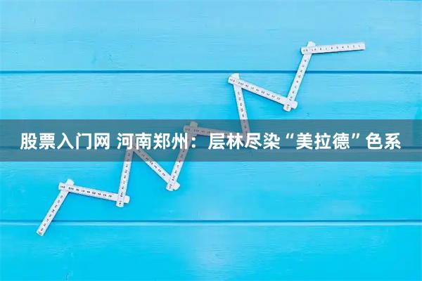 股票入门网 河南郑州：层林尽染“美拉德”色系
